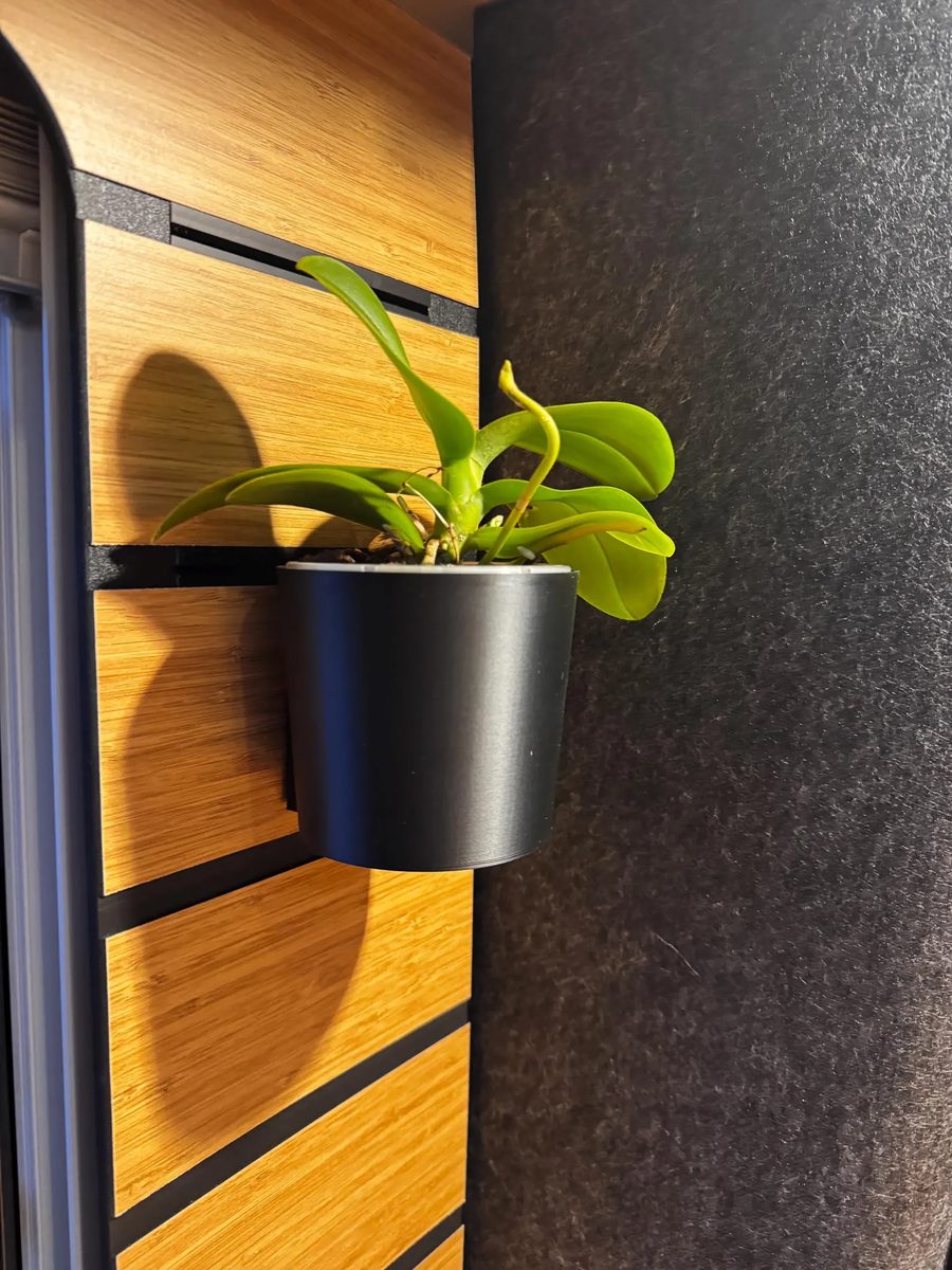 Small plant in Hymer rail pot holder